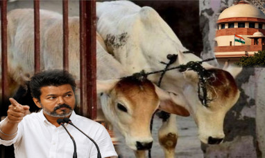 गो-हत्या पर सुप्रीम कोर्ट की अंतरिम रोक, मद्रास हाई कोर्ट के आदेश पर लगी ब्रेक 1 | Rashtra Samarpan News supreme court stayed a madras high court order | Rashtra Samarpan News